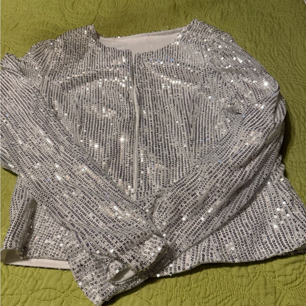 Silver Sequin Long Sleeve Top